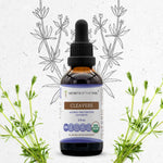 Cleavers Tincture