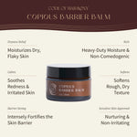 Copious Barrier Balm