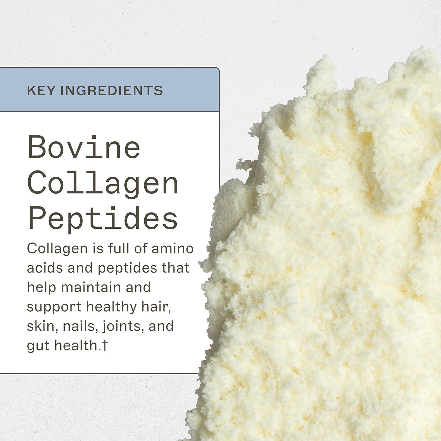 Collagen Protein - Type 1 & 3 Collagen