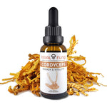 Cordyceps (Cordyceps Militaris)