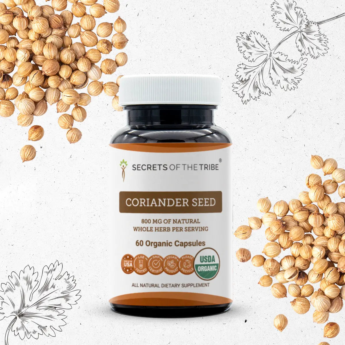Coriander Seed Capsules