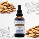 Cryptolepis Tincture