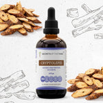 Cryptolepis Tincture