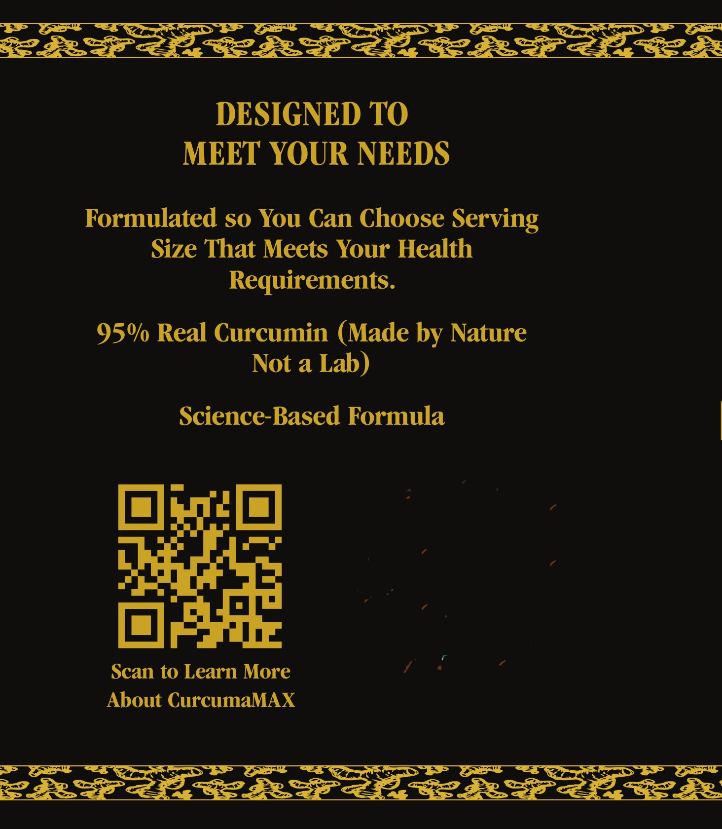 CurcumaMAX Fermented Turmeric Powder – Enhanced Curcumin, Certified Lead-Free