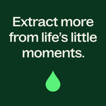 Dalmatian Sage Essential Oil