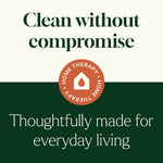 Defender Multi-Surface Cleaner 30 mL 2 Pack