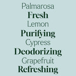 Deodorizing Powder
