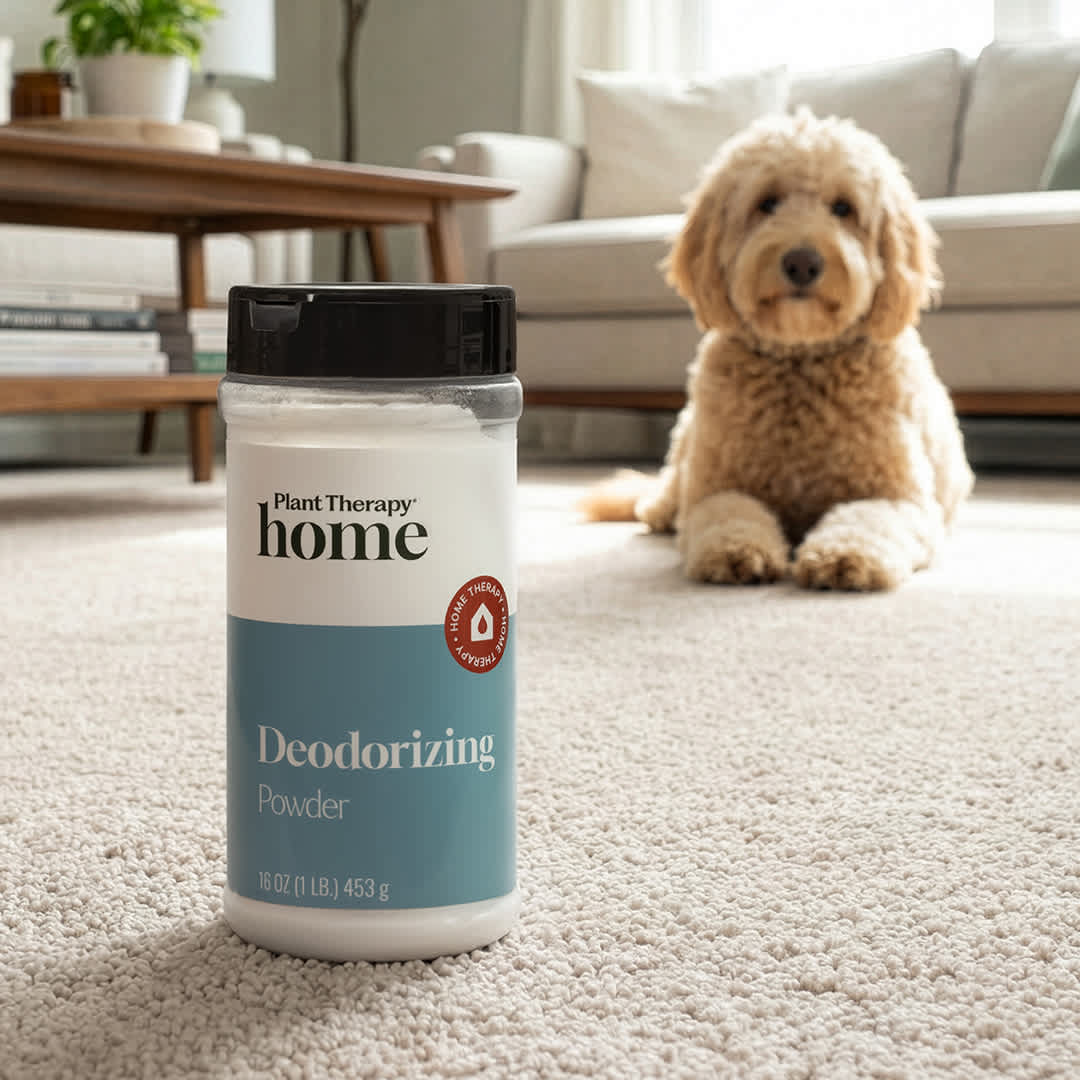 Deodorizing Powder