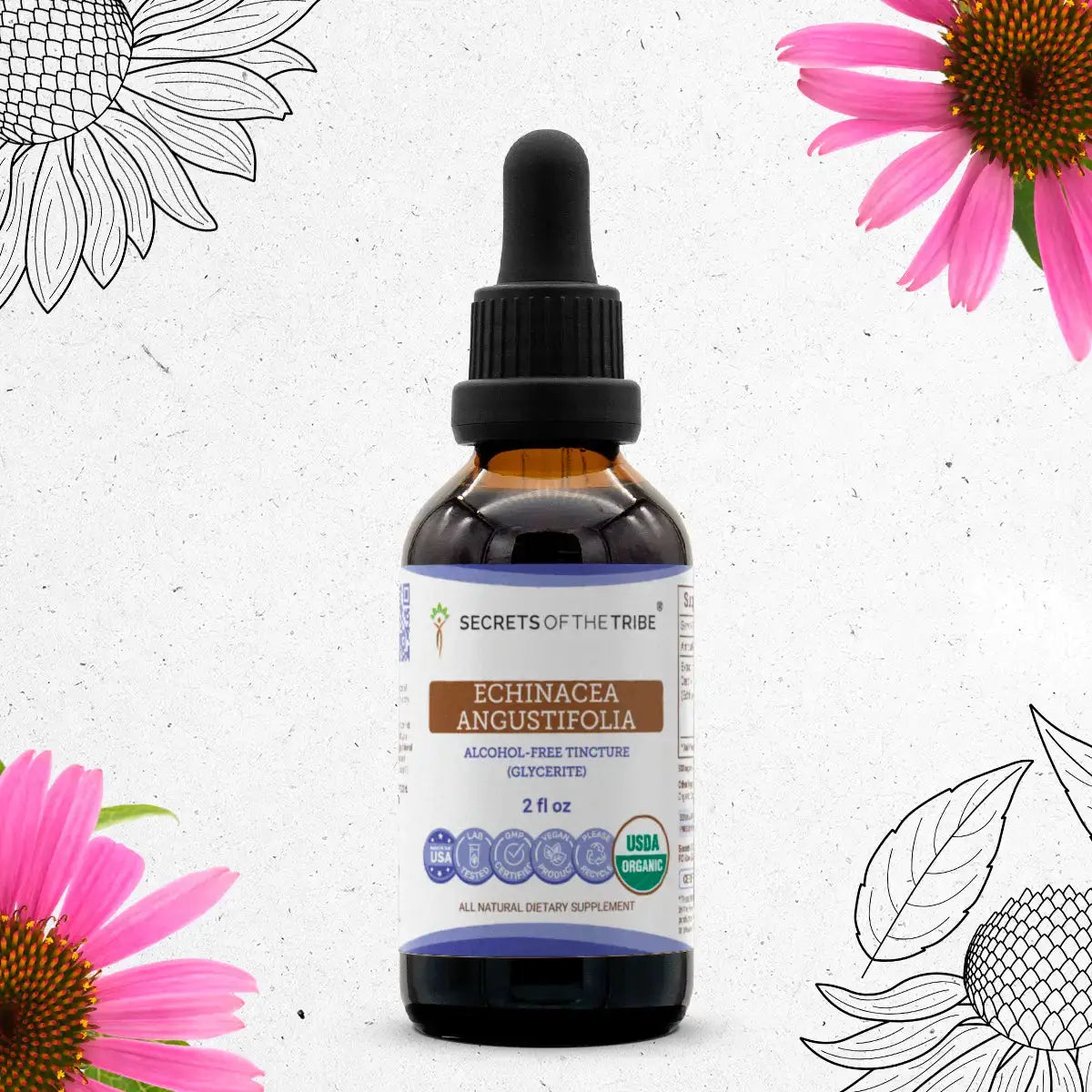 Echinacea Angustifolia Tincture