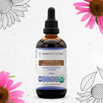Echinacea Angustifolia Tincture