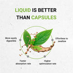 Echinacea Angustifolia Tincture
