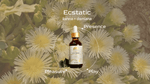 (PRE-ORDER) Ecstatic ⟡ Kanna & Damiana Drops