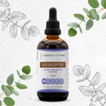 Eucalyptus Tincture