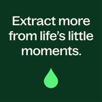 Eucalyptus Dives Essential Oil