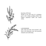 Eucalyptus + Lavender - Natural Bar Soap