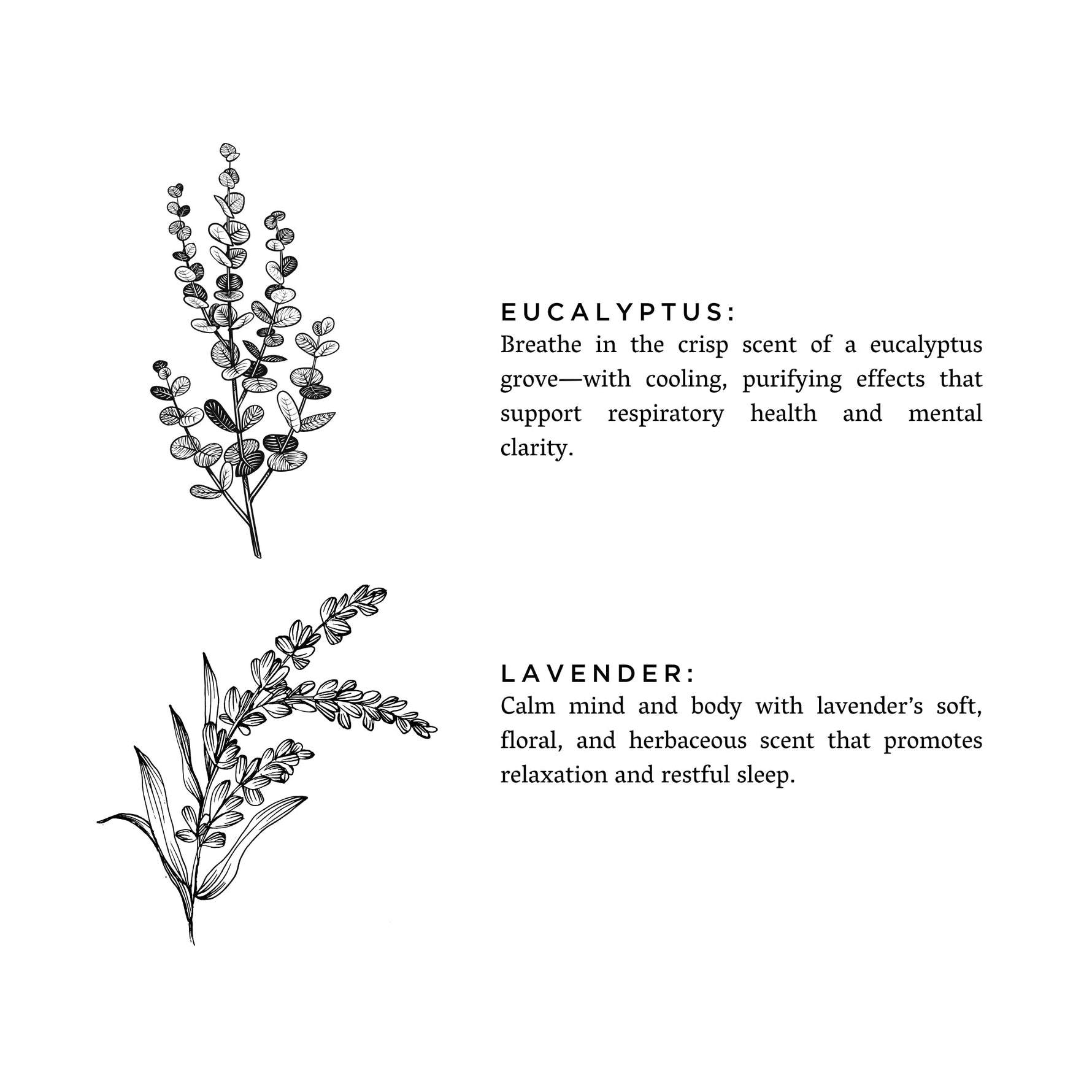 Eucalyptus + Lavender - Natural Bar Soap