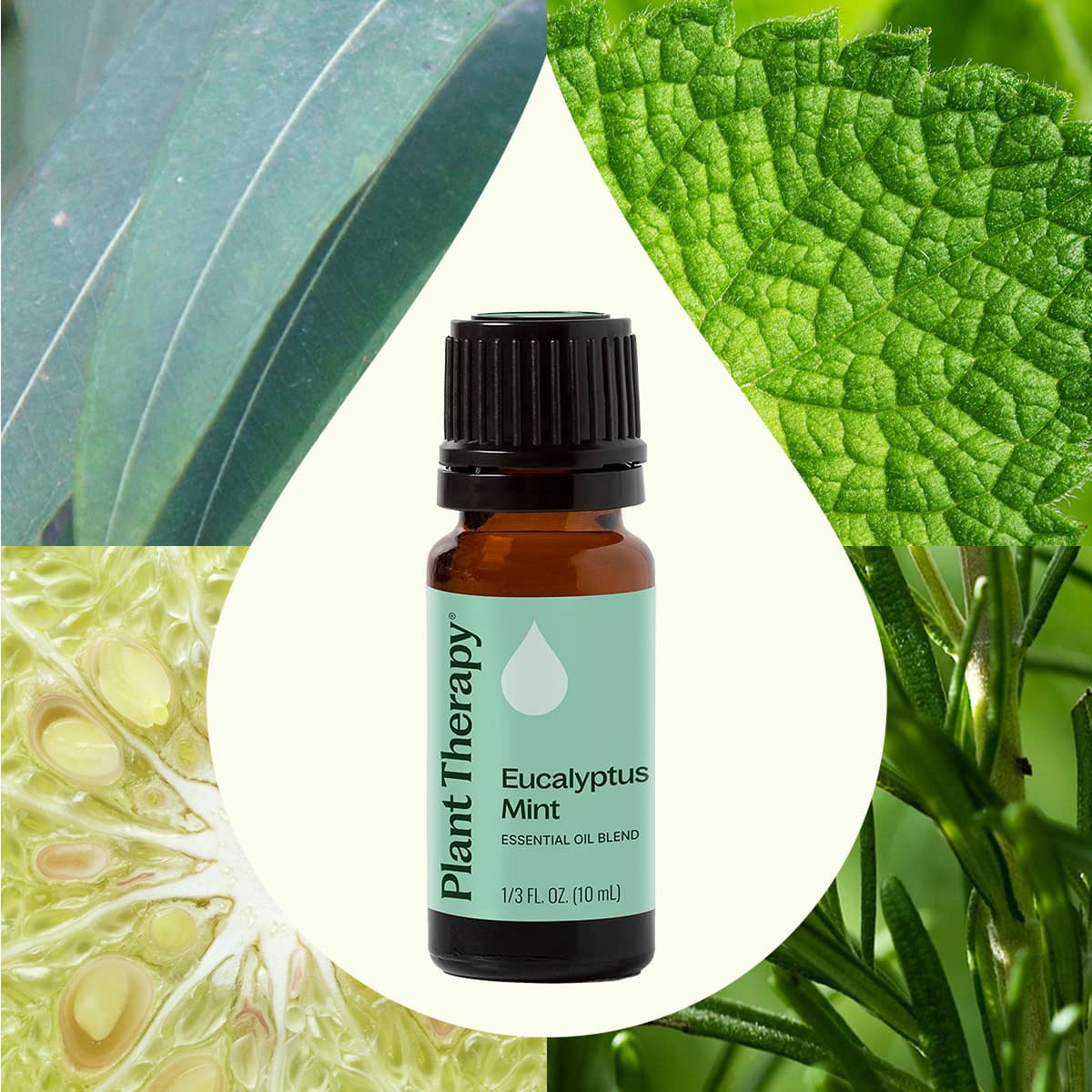 Eucalyptus Mint Essential Oil Blend