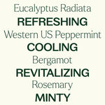 Eucalyptus Mint Essential Oil Blend
