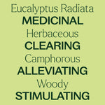 Eucalyptus Radiata Essential Oil