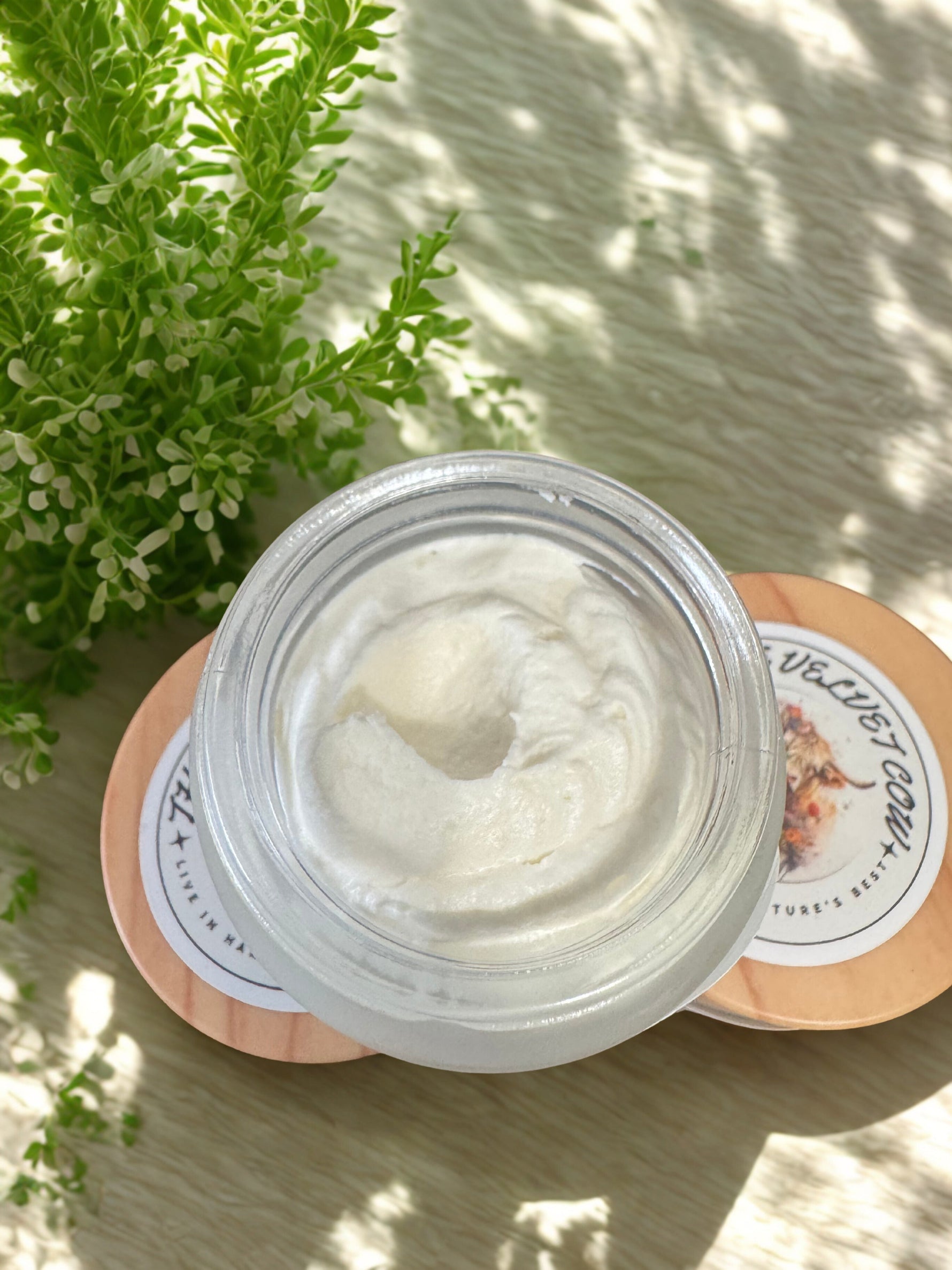 Radiance Renewal Tallow Face Cream | Bakuchiol, Moringa, Vitamin E & Hyaluronic Acid
