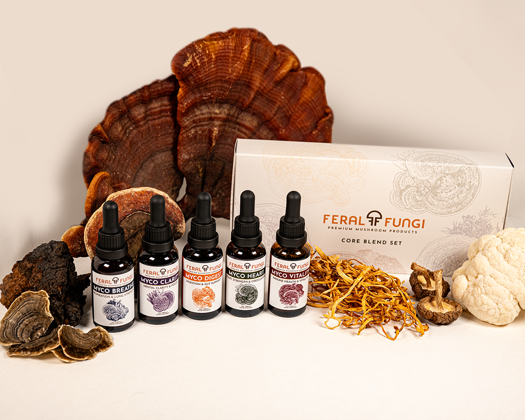 Core Blend Set
