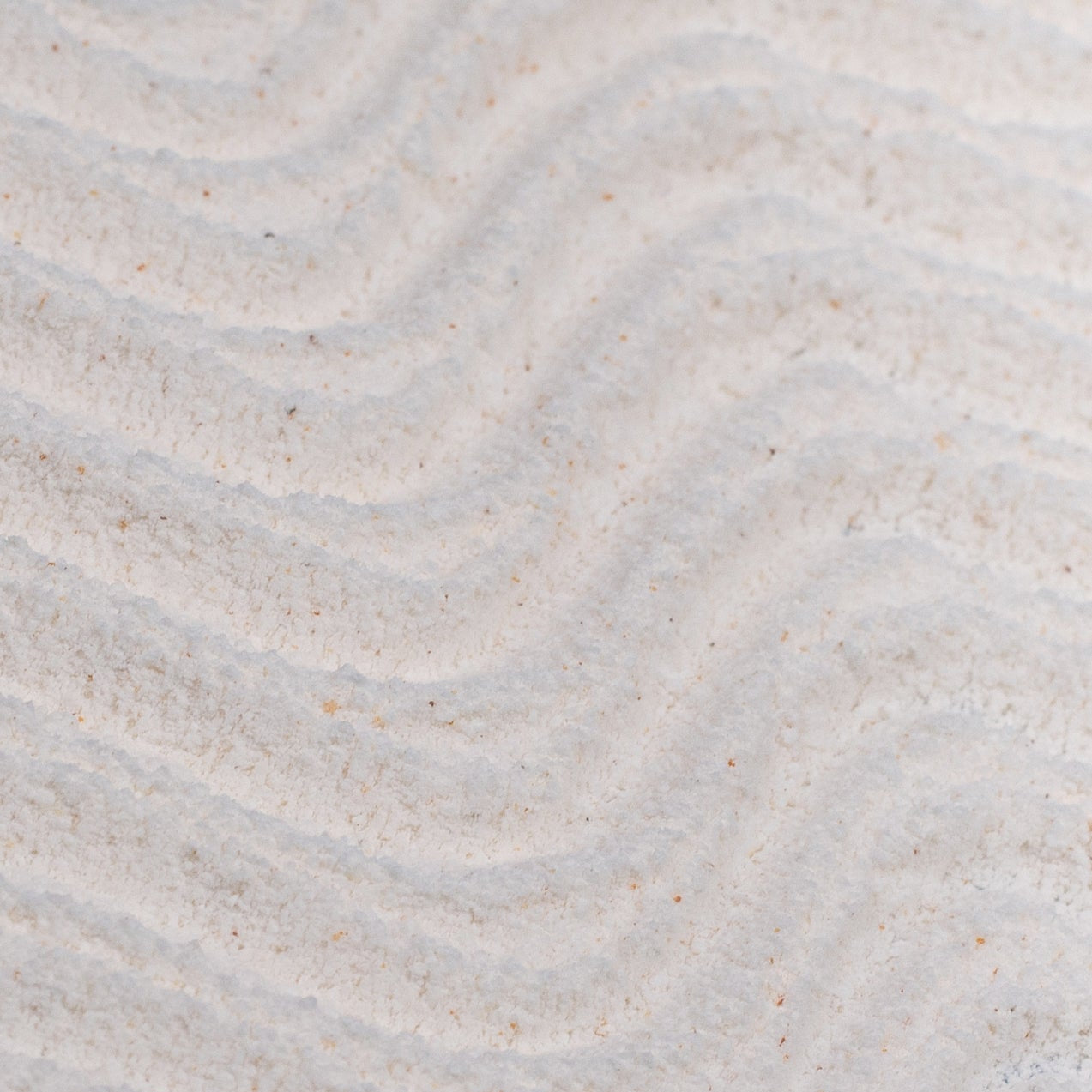 Powder to Foam Face Wash with Willow Bark + Papaya Enzymes