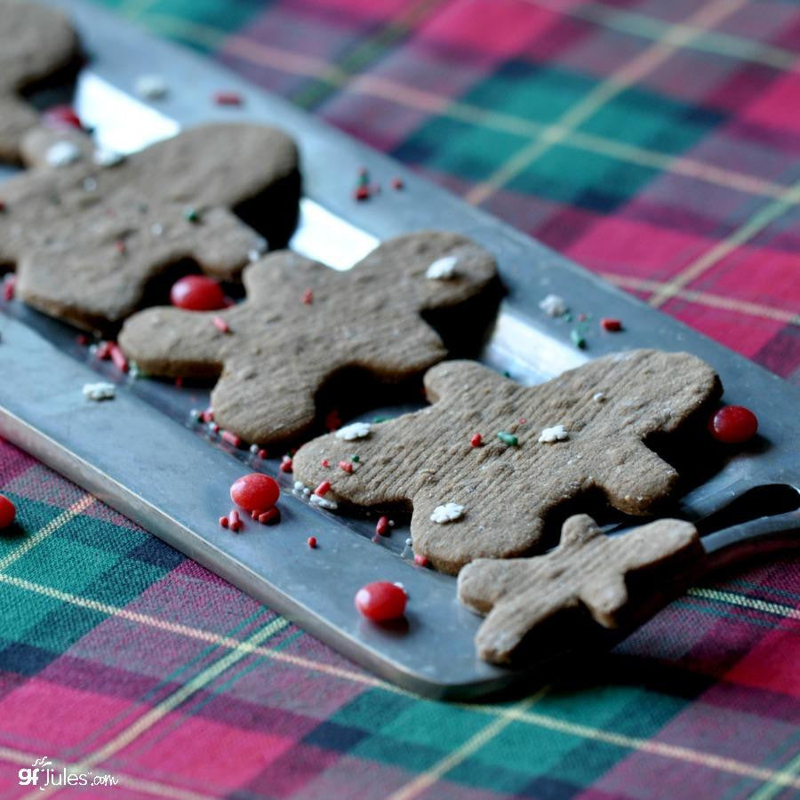 gfJules GF Graham Cracker – Gingerbread Mix