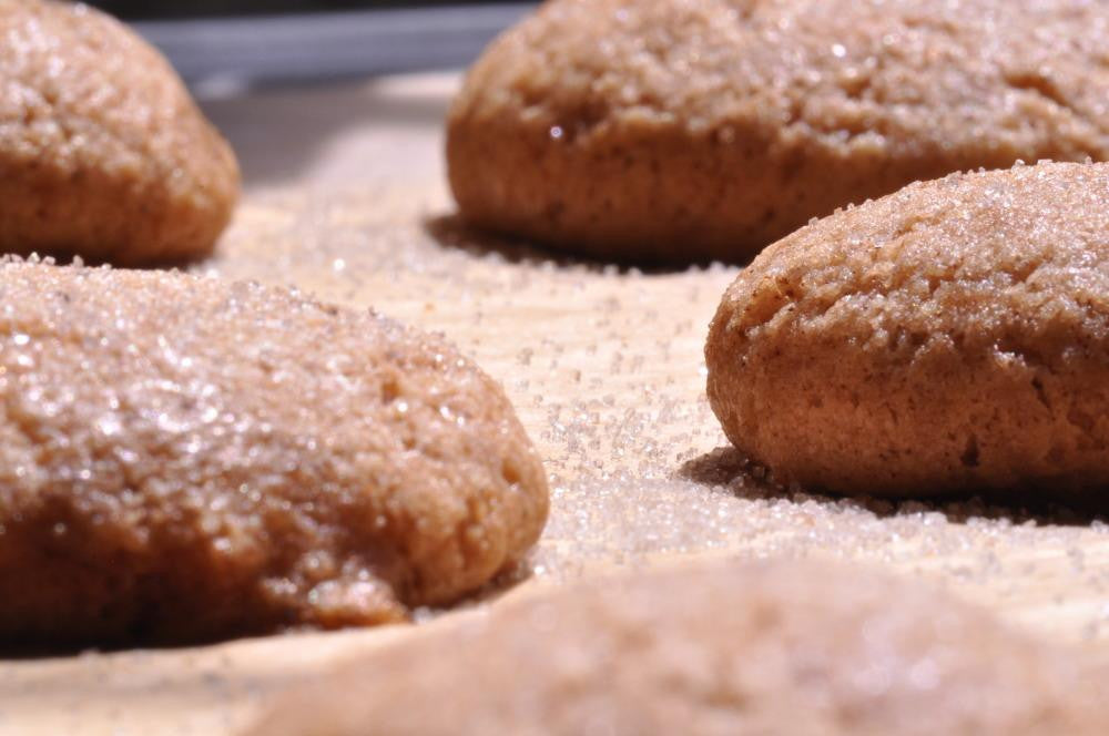 gfJules GF Graham Cracker – Gingerbread Mix