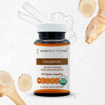Galangal Capsules