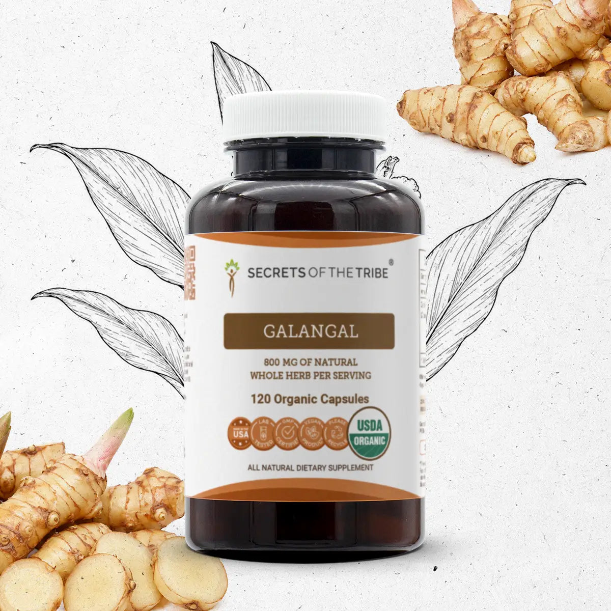 Galangal Capsules