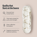 Organic Lion’s Mane Capsules