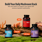Organic Turkey Tail Mushroom Capsules