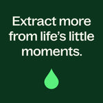 Ginger Essential Oil