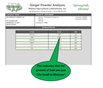 Naturally Grown Ginger Powder – Certified Lead-Free, Lab Tested for Purity