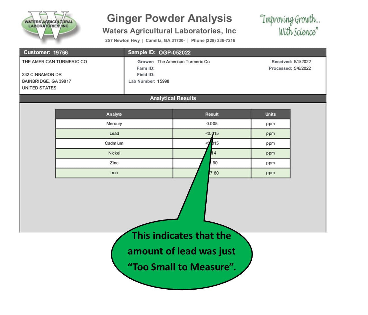 Naturally Grown Ginger Powder – Certified Lead-Free, Lab Tested for Purity