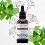 Ginkgo Biloba Tincture