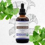 Ginkgo Biloba Tincture