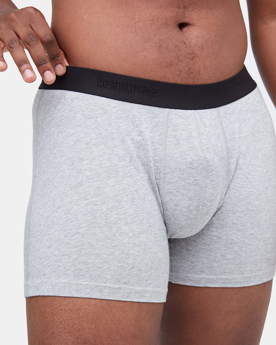 The 5" Boxer Brief