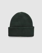 Alden Beanie