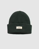 Alden Beanie