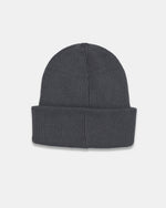 Alden Beanie