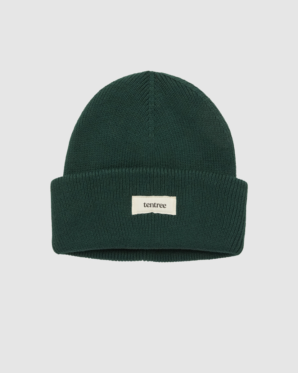 Alden Beanie