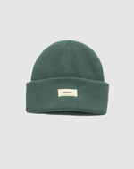 Alden Beanie