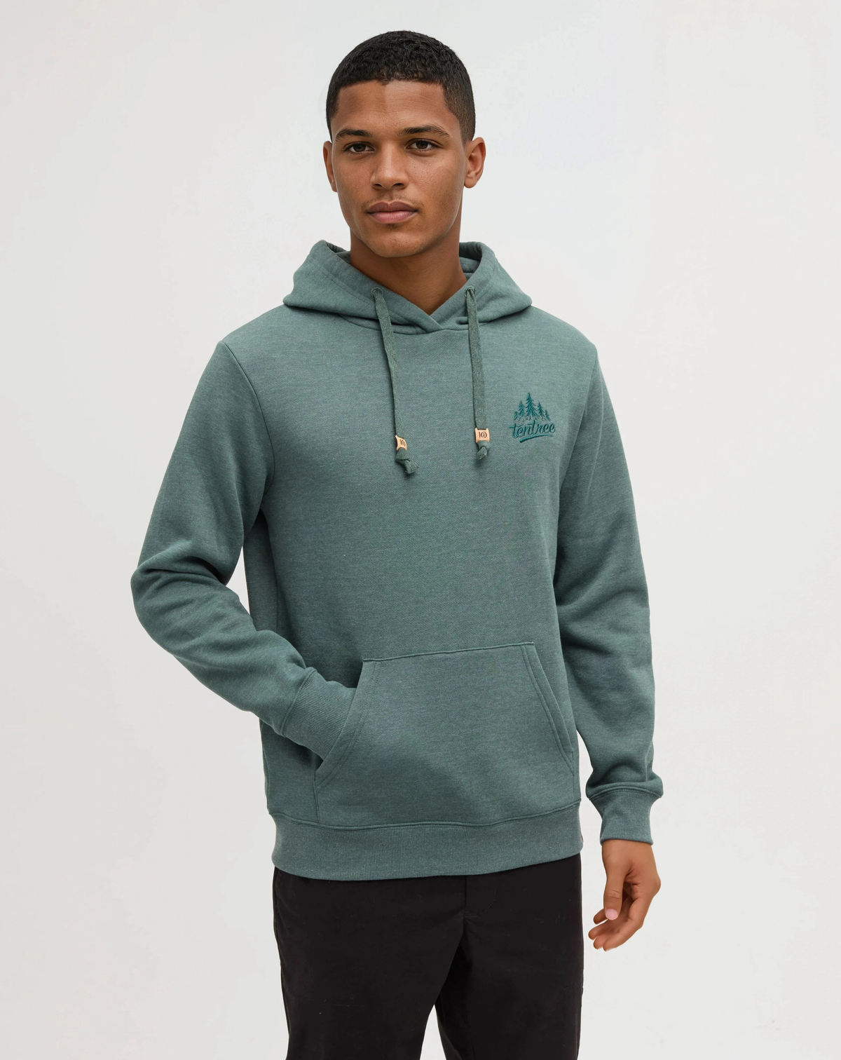 Tentree Tree Hoodie