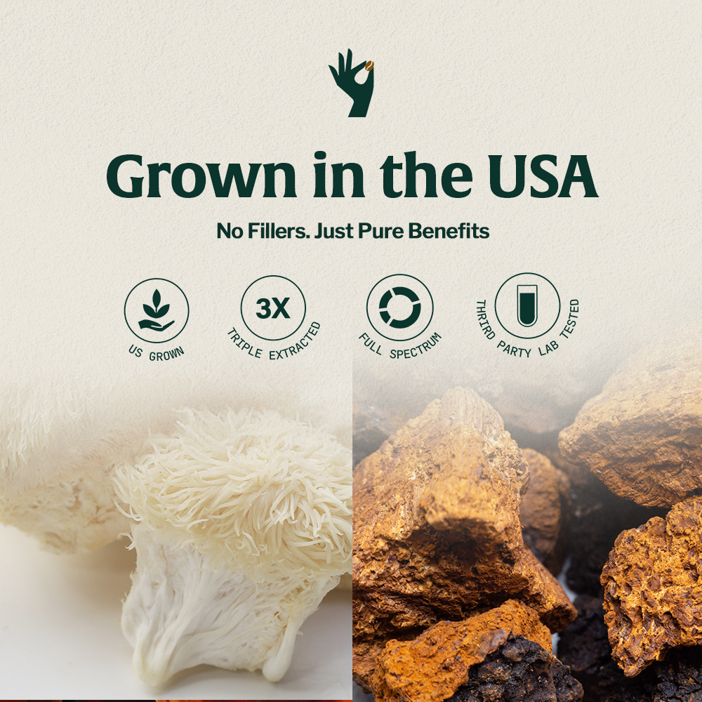Organic Mushroom Coffee Fusion - Lion's Mane & Chaga