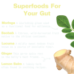 Gut Bliss Superfood Blend