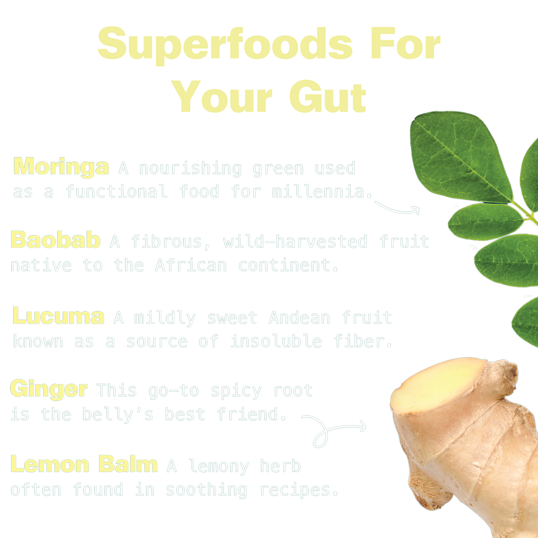 Gut Bliss Superfood Blend