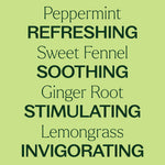 Gut Aid™ Essential Oil Blend