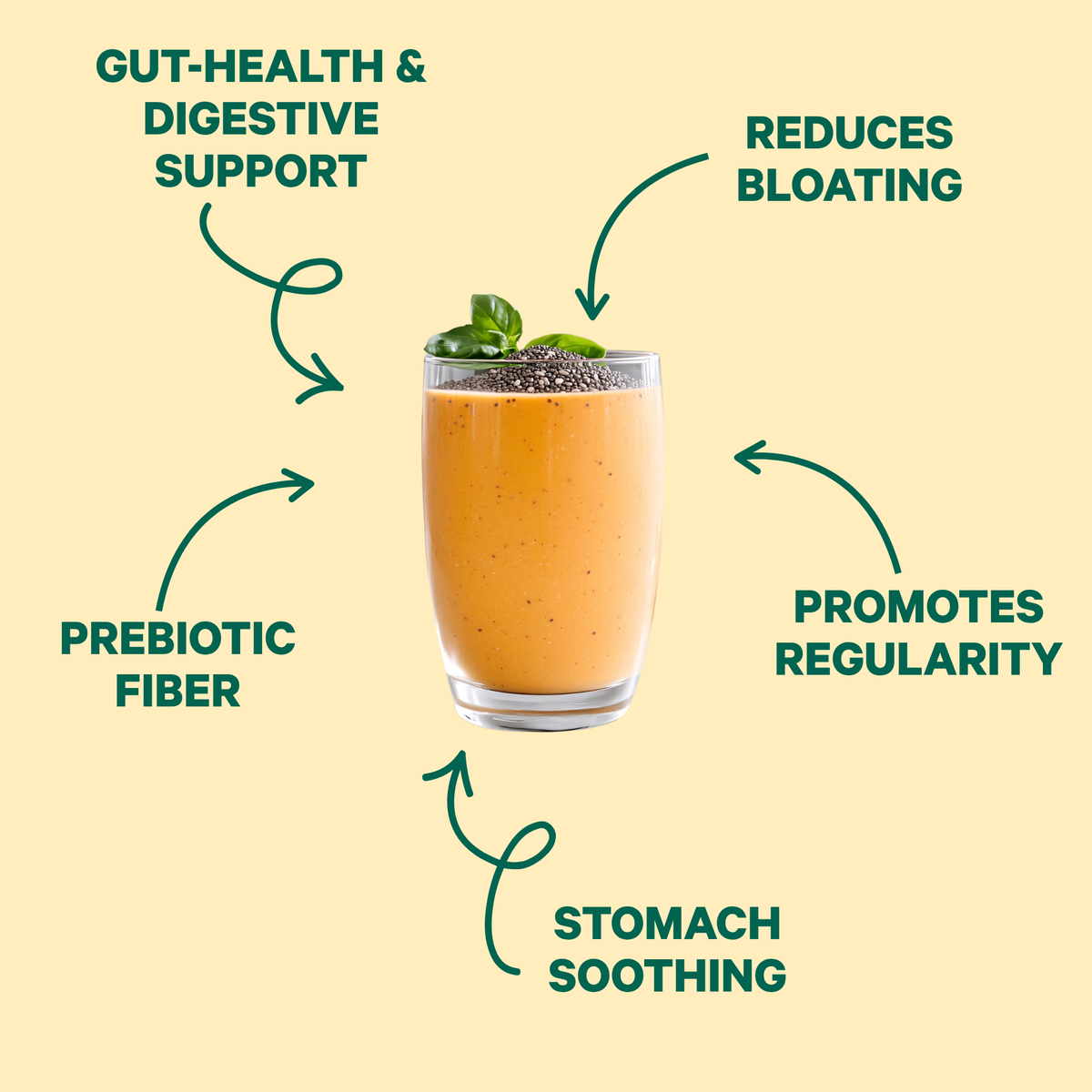 Gut Bliss for Digestive Support