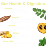 Gut Bliss for Digestive Support
